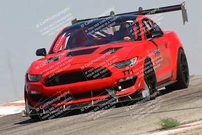 media/Jul-26-2025-Speed Ventures (Sat) [[fe569e6cf0]]/Red Group/Grapevine/